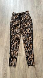 Dames legging S valt iets ruimer Mooij, Legging, Maat 36/38 (S), Mooij, Zwart