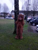 Mascottes Bolleke & Bella Beer en onze Grote Knuffelbeer, Ophalen of Verzenden, Zo goed als nieuw, Verjaardag