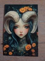 STERRENBEELD 2, Ophalen