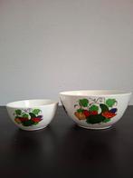 Vintage/ retro schalen, Verzamelen, Retro, Ophalen of Verzenden, Huis en Inrichting