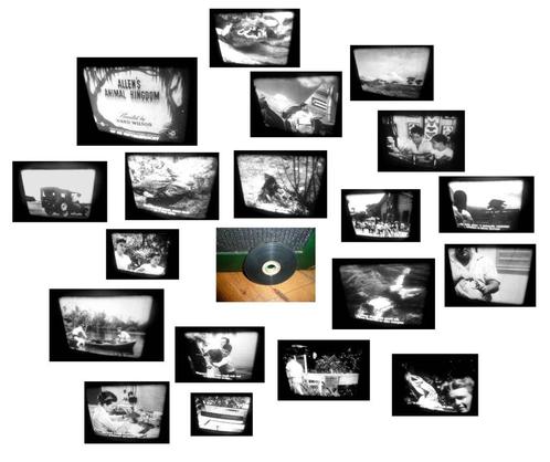 16mm film Allen's Animal Kingdom - Lizzard Haunt - 1951 -, Audio, Tv en Foto, Filmrollen, 16mm film, Ophalen of Verzenden