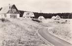 Nes  ( Ameland ) - zomerhuizen in de duinen , 1959   =0010=, Ophalen of Verzenden, 1940 tot 1960, Gelopen, Waddeneilanden
