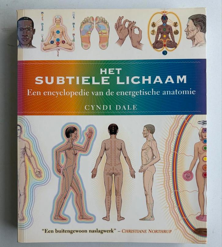 Het Subtiele Lichaam - Cyndi Dale, Boeken, Esoterie en Spiritualiteit, Zo goed als nieuw, Achtergrond en Informatie, Spiritualiteit algemeen