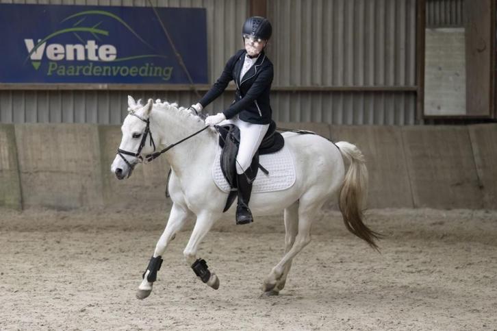 verzorger/bijrijder aangeboden, Dieren en Toebehoren, Paarden en Pony's | Verzorgingsproducten, Nieuw, Ophalen of Verzenden
