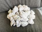 30 paar hema long lasting witte enkelsokken maat 43-46, Ophalen of Verzenden, Zo goed als nieuw, Maat 43 t/m 46, Wit