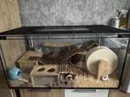 Hamsterkooi, Dieren en Toebehoren, Kooi, Gebruikt, Hamster, 75 tot 110 cm