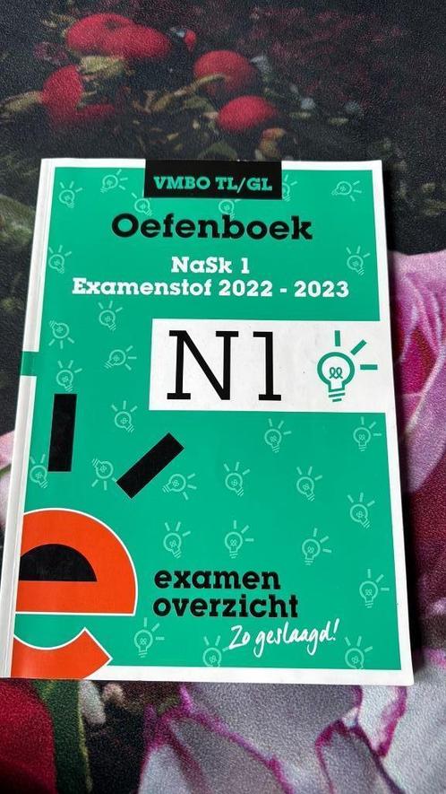 ExamenOverzicht - Oefenboek Examenstof NaSk1 VMBO TL/GL, Boeken, Schoolboeken, Zo goed als nieuw, Natuurkunde, VMBO, Ophalen of Verzenden