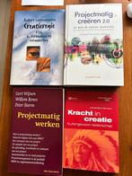 Projectmanagement & projectmatig werken, Boeken, Studieboeken en Cursussen, Ophalen of Verzenden, Beta, Zo goed als nieuw, HBO