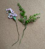 SILK-KA Bloem + Plant, Ophalen of Verzenden