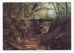 Ootmarsum, Beekje in het Springendal - natuur, Ophalen of Verzenden, 1980 tot heden, Gelopen, Overijssel