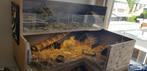 Zelf gemaakt cavia verblijf, Dieren en Toebehoren, Ophalen, 110 cm of meer, 90 cm of meer, Hok