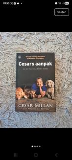 Cesars aanpak - Hondenopvoeding, Boeken, Ophalen of Verzenden