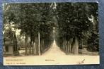 Moordrecht, Middelweg, 1907, De Tulp, Verzenden, Voor 1920, Gelopen, Zuid-Holland