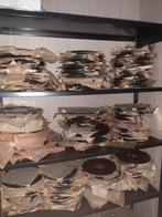 78 toeren platen ca 20.000 stuks, bod gevraagd, Antiek en Kunst, Ophalen