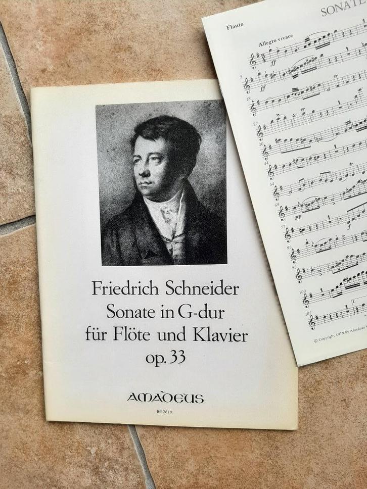 Bladmuziek fluit. blokfluit, hobo, viool en piano 12 boeken, Muziek en Instrumenten, Bladmuziek, Zo goed als nieuw, Overige soorten