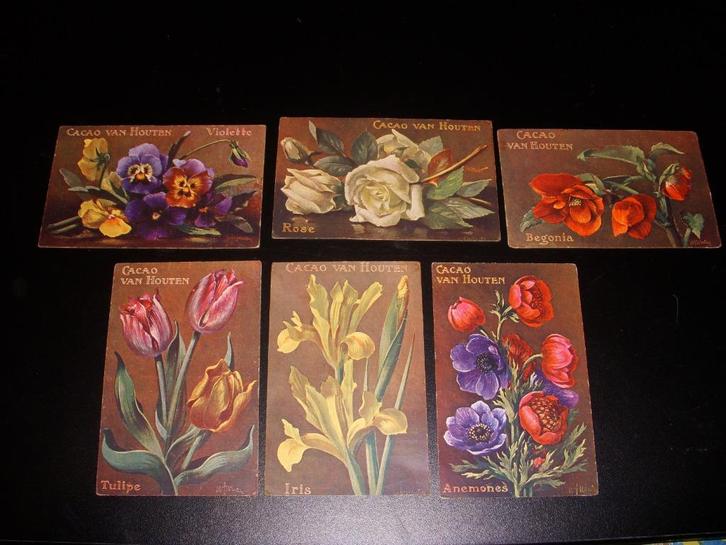 6 Prachtige reclamekaarten van Van Houten cacao 1900-1910, Verzamelen, Merken en Reclamevoorwerpen, Gebruikt, Gebruiksvoorwerp