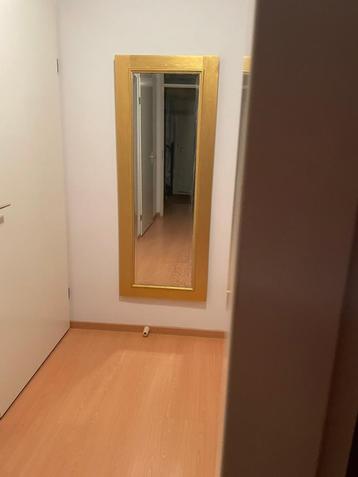 Vintage spiegel beschikbaar voor biedingen