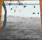 The Tallest man on earth - There is no leaving now, Ophalen of Verzenden, Gebruikt, 12 inch