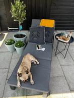 Ligbed van het merk Allibert, Tuin en Terras, Ophalen, Zo goed als nieuw, Kunststof