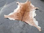 Mooi damhert vacht/huid. Landelijk- decoratie - hert, Ophalen of Verzenden, Zo goed als nieuw, Hert, Overige typen