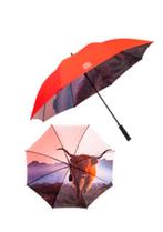 stevige paraplu, Ophalen, Nieuw