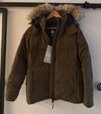 Nieuwe Canada Goose Chelsea Damesjas, Kleding | Heren, Jassen | Winter, Ophalen, Nieuw, Zwart