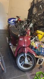 Honda scoopy, Fietsen en Brommers, Ophalen of Verzenden, Zo goed als nieuw, Uitlaat