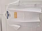 Superdry t-shirt maat L, Ophalen of Verzenden, Zo goed als nieuw, Korte mouw