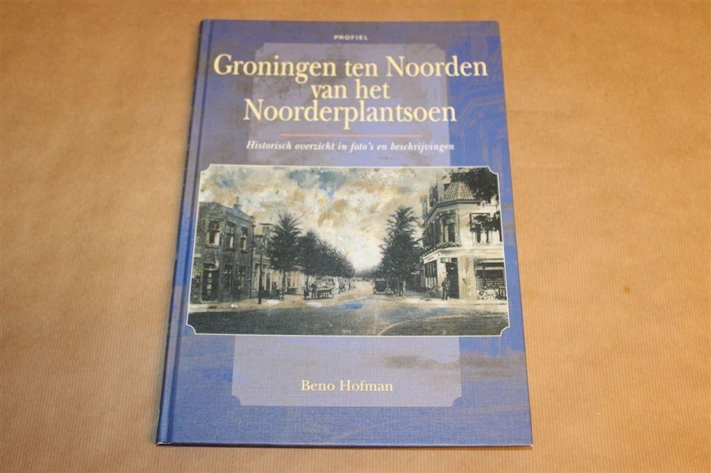 Groningen ten Noorden van het Noorderplantsoen — Beno Hofman, Ophalen of Verzenden, Gelezen