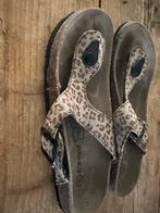 Graceland slippers maat 38, Ophalen, Gedragen, Bruin, Slippers