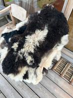 Schapenvachten te koop | Klepperstee Ouddorp, Ophalen, Vrijheidsweg 1, Nieuw, Info@dyreskinn.nl