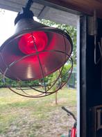 Warmtelamp 175 Watt, Dieren en Toebehoren, Ophalen of Verzenden, Nieuw, Overige typen