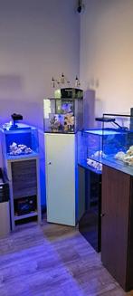Diverse zeeaquariums voor het starten, instapmodel, Ophalen, Nieuw