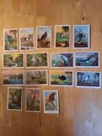 OUDE CHROMO'S VOGELS, Ophalen of Verzenden, Gebruikt