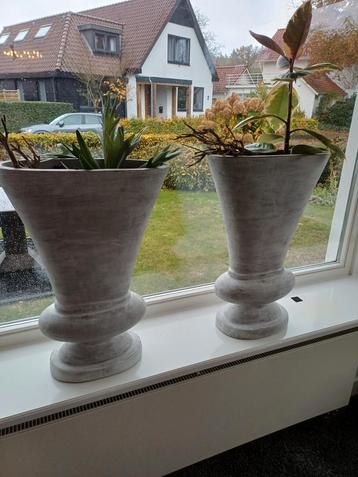 2 Grote Bloempotten - 60cm Hoog, 43cm Breed beschikbaar voor biedingen