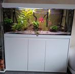 Aquarium inrichting, Dieren en Toebehoren, Vissen | Aquaria en Toebehoren, Ophalen, Plant(en), Steen of Hout