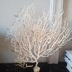 Mooie witte gorgone op zwarte voet, Ophalen of Verzenden, Zo goed als nieuw, X, X