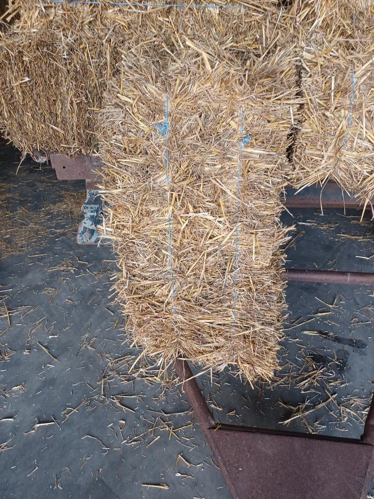 Stro/ tarwe stro, Ophalen, Vee