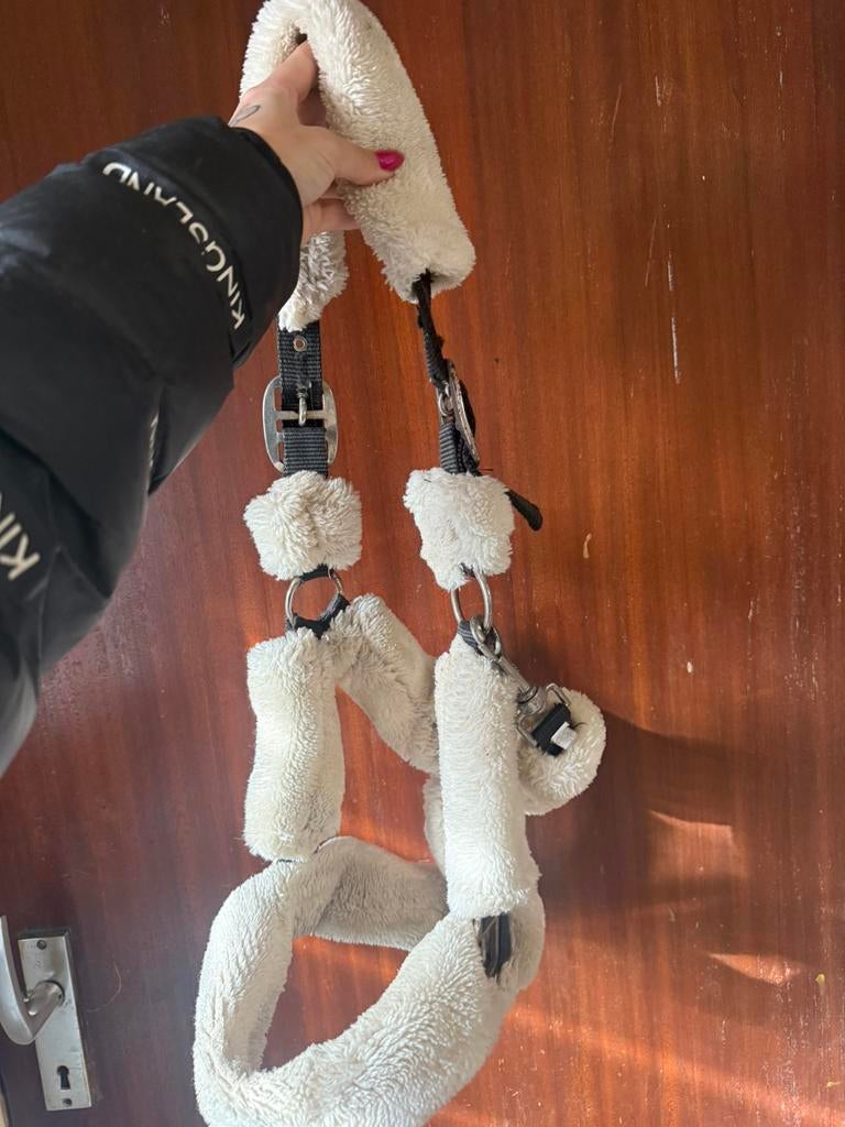 Bont halster cob, Ophalen of Verzenden, Gebruikt, Overige soorten