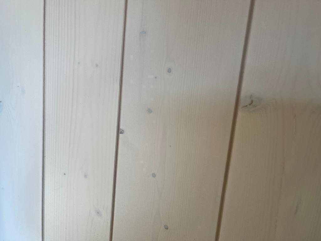 Wit behandelde vuren planken voor plafond of wand 13x135x250, Huis en Inrichting, Stoffering | Behang, Ophalen of Verzenden, 75 m² of meer
