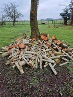 Haard hout, droogt snel, wilg, Tuin en Terras, Minder dan 3 m³, Ophalen