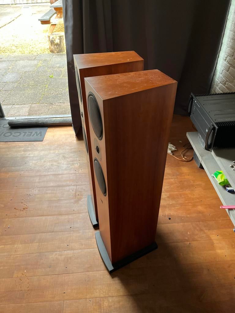 Linn Ninka Vloerstaande Luidsprekers - Uitstekende Staat, Audio, Tv en Foto, Luidsprekers, Overige merken, Ophalen of Verzenden