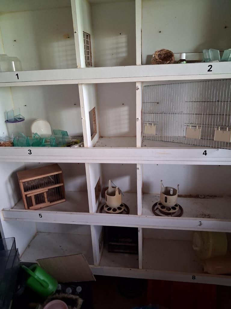 Kanarie kweek/broedhokken, Dieren en Toebehoren, Vogels | Hokken en Kooien, Ophalen of Verzenden, Hout, Broedkooi of Kweekkooi