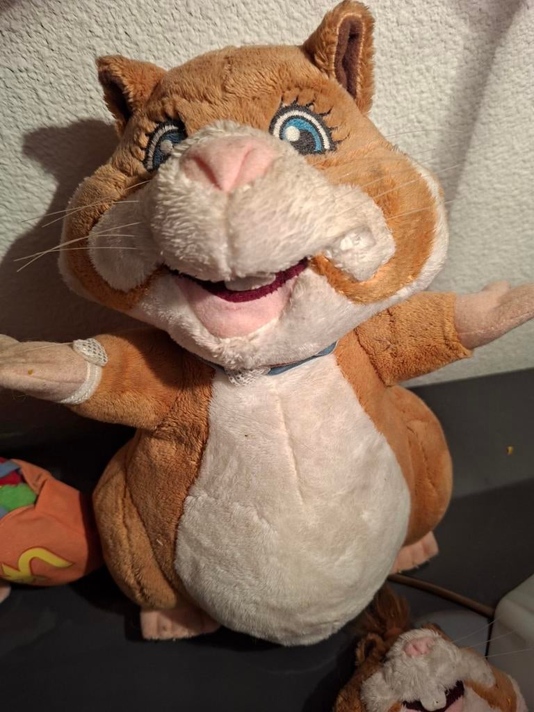 AH Hamsterfamilie zoekt woning, Kinderen en Baby's, Ophalen of Verzenden, Overige typen