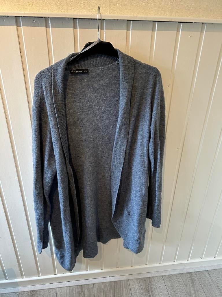 Blauw vest Jean Pascale L/XL, Ophalen of Verzenden, Gedragen, Maat 42/44 (L), Blauw