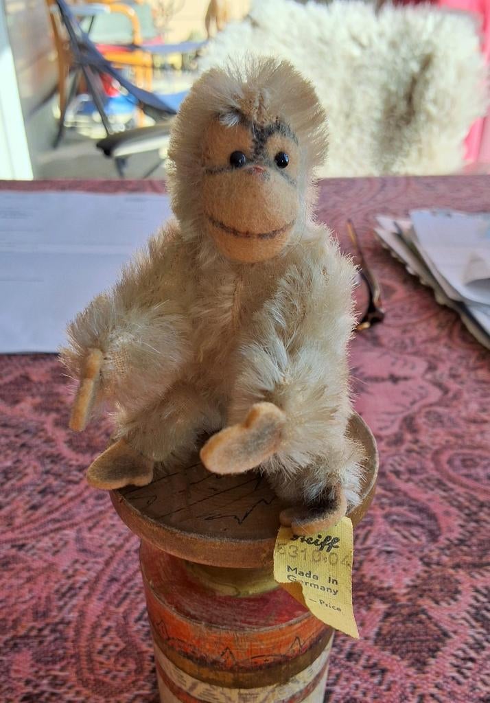 Zeldzame Steiff Jocko Aap 10 cm - Wit Mohair (1949-1966), Ophalen of Verzenden