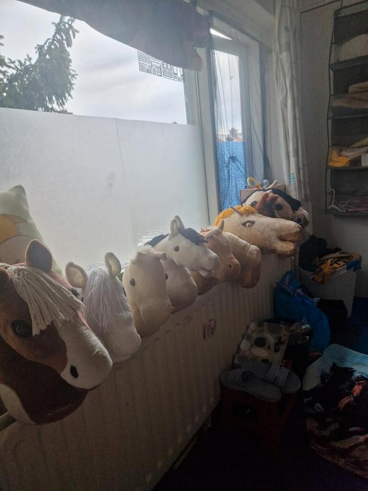 Pony clup, Dieren en Toebehoren, Paarden en Pony's | Beschermers, Rijden, Springen, Ophalen of Verzenden