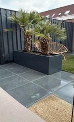 Plantenbak, Tuin en Terras, Bloembakken en Plantenbakken, Info@plantenbakkenvanstaal.nl, Nieuw, Ophalen of Verzenden, Metaal