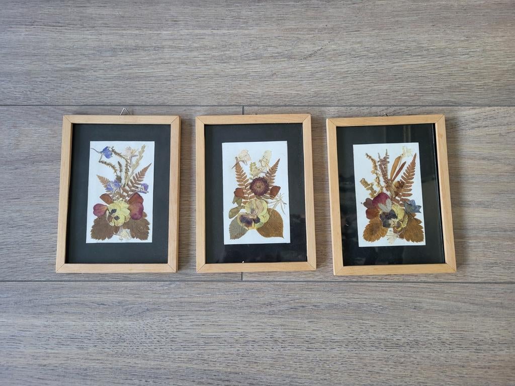 3 vintage lijsten droogbloemen, Ophalen of Verzenden, Hout, Minder dan 50 cm, Minder dan 50 cm