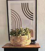 Te koop; mand met evt kunstplanten, Ophalen of Verzenden, Zo goed als nieuw, Rond, Riet